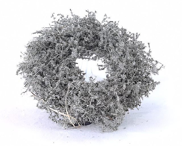 Naturkranz "Asparagus"