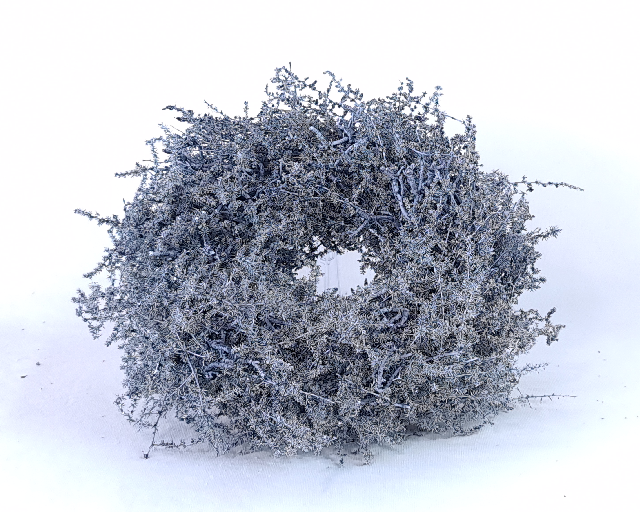 Naturkranz "Asparagus & Wurzeln"